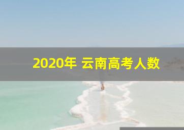 2020年 云南高考人数